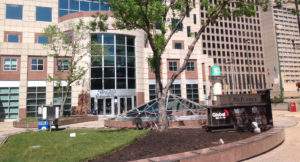 A tree in front of a building with a large window.